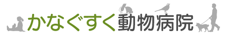 かなぐすく動物病院
